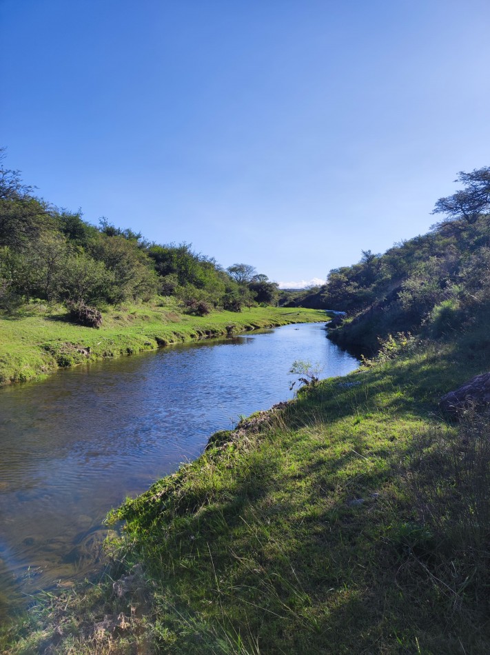 CAMPO DE 210 HECTAREAS EN ALMAFUERTE SOBRE AUTOVIA CBA-RIO IV