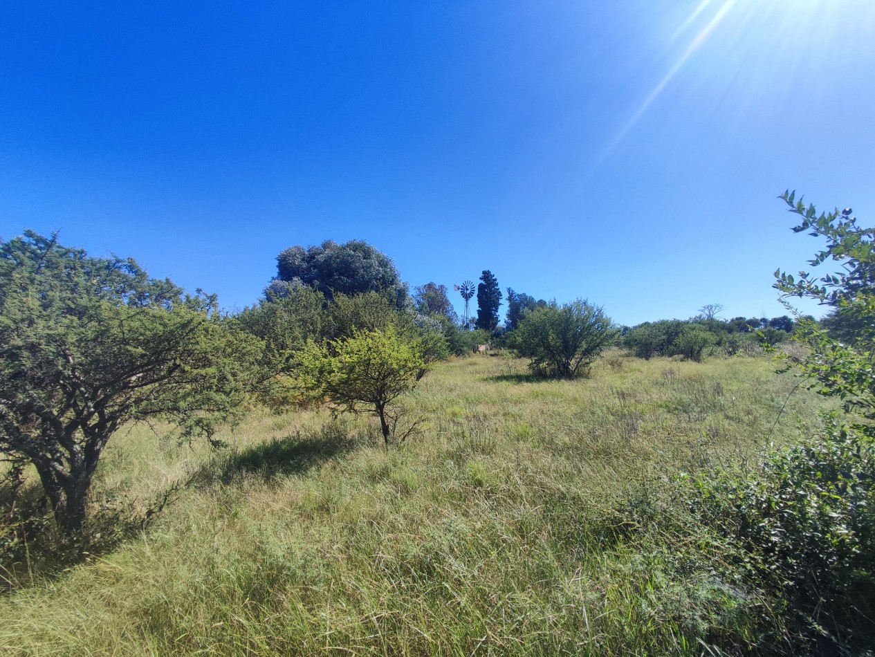 CAMPO DE 210 HECTAREAS EN ALMAFUERTE SOBRE AUTOVIA CBA-RIO IV