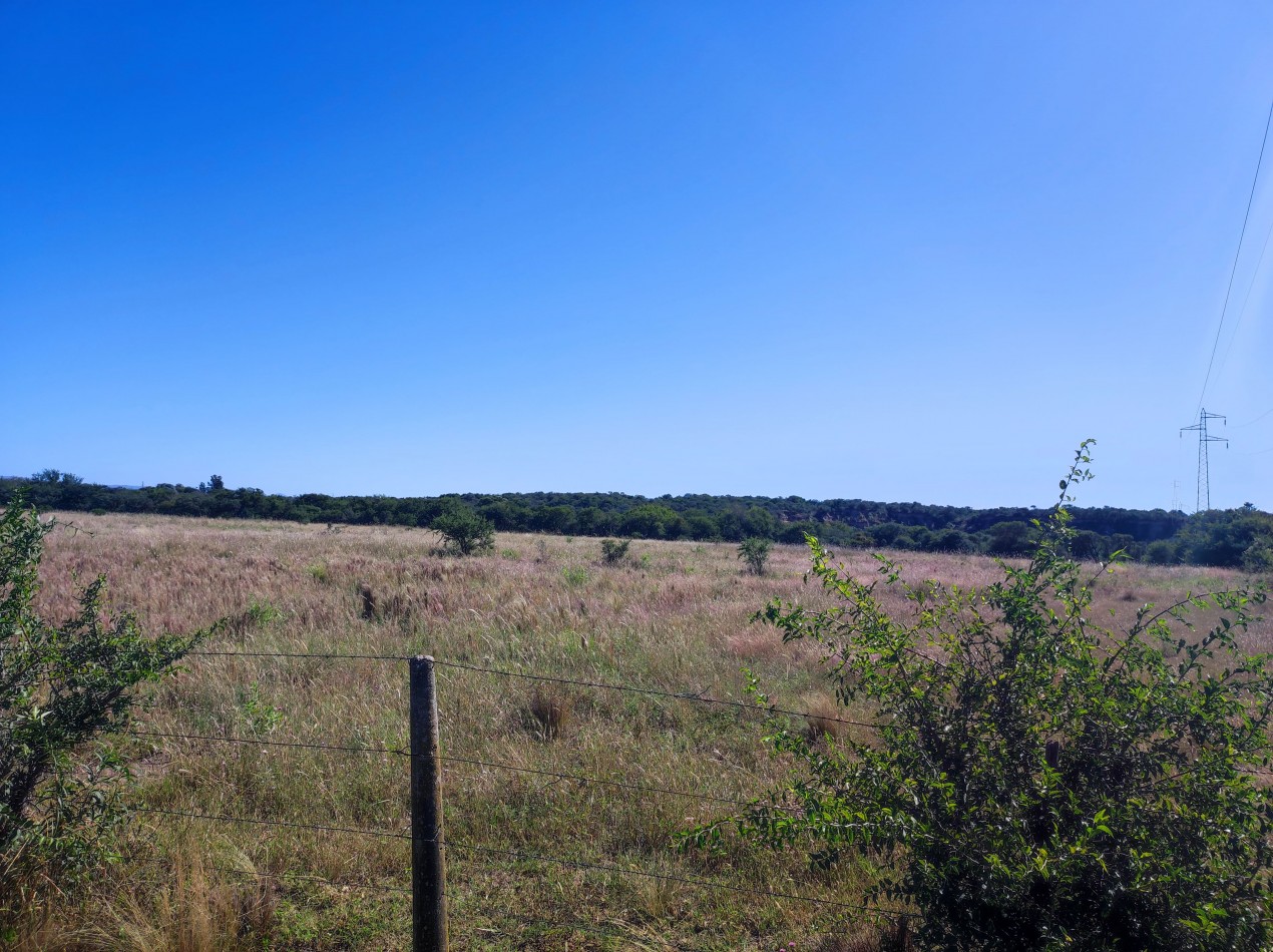 CAMPO DE 210 HECTAREAS EN ALMAFUERTE SOBRE AUTOVIA CBA-RIO IV