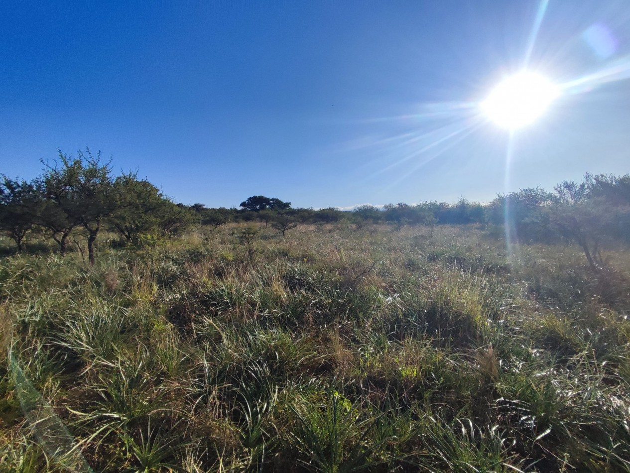 CAMPO DE 210 HECTAREAS EN ALMAFUERTE SOBRE AUTOVIA CBA-RIO IV
