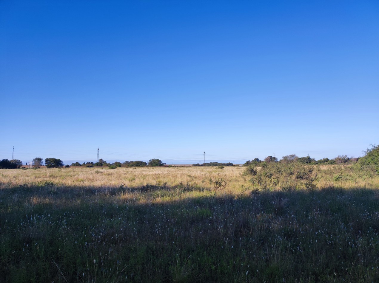 CAMPO DE 210 HECTAREAS EN ALMAFUERTE SOBRE AUTOVIA CBA-RIO IV
