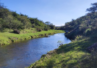 CAMPO DE 210 HECTAREAS EN ALMAFUERTE SOBRE AUTOVIA CBA-RIO IV